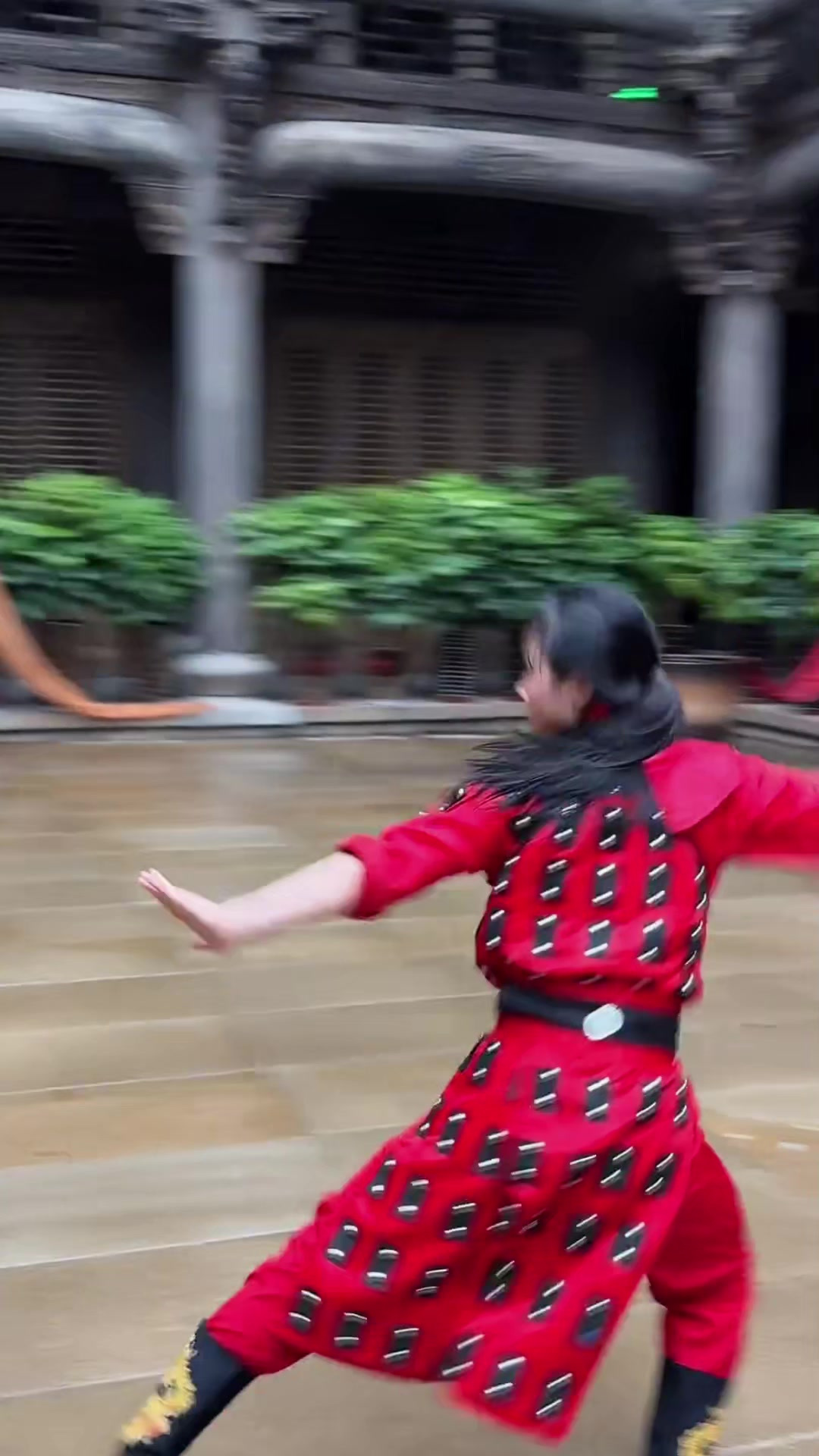 传统武术表演会，文化韵味在运动中绽放的简单介绍