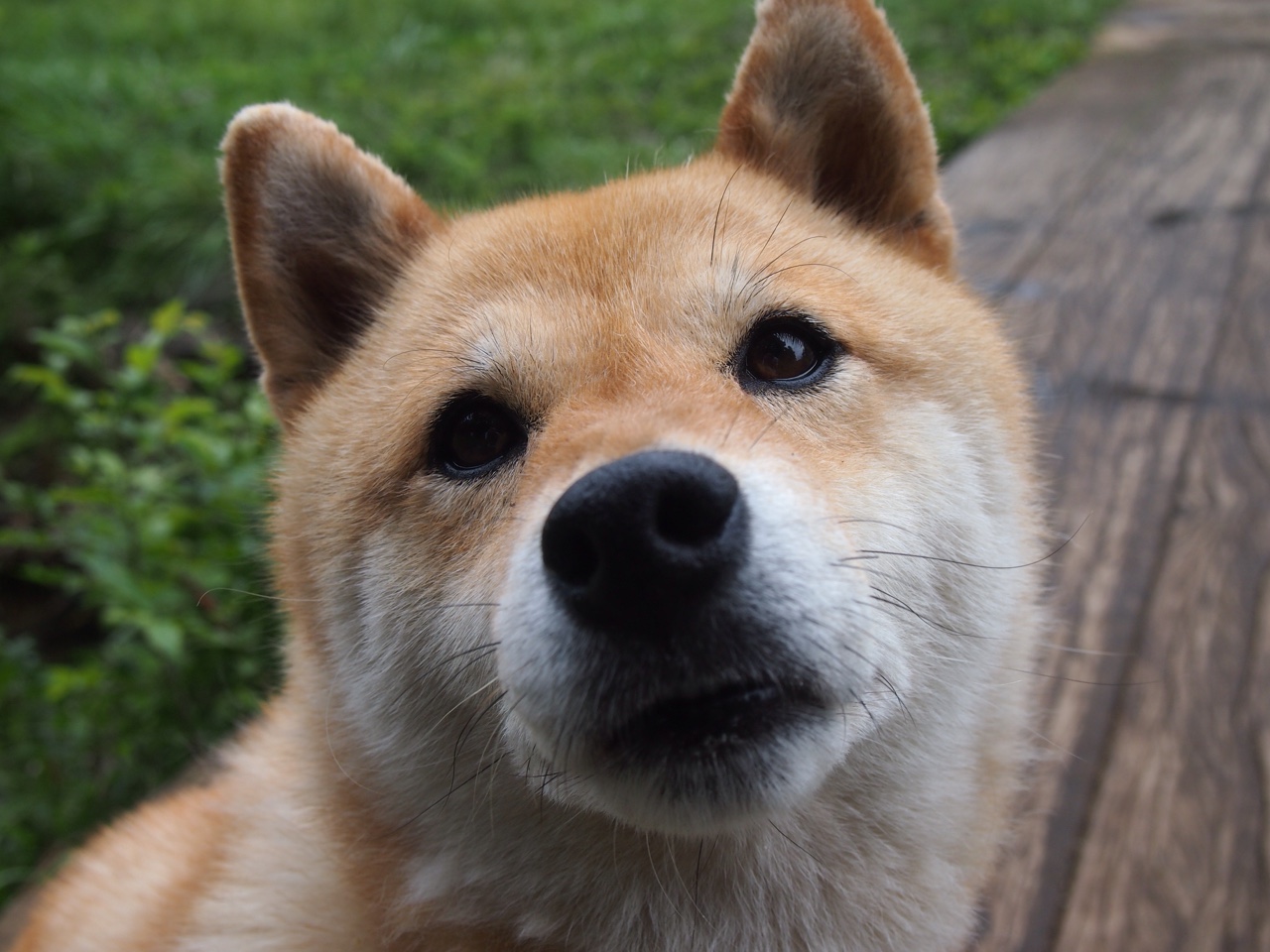 未来科技模拟赛车体验，冲刺未来运动，未来特技赛车