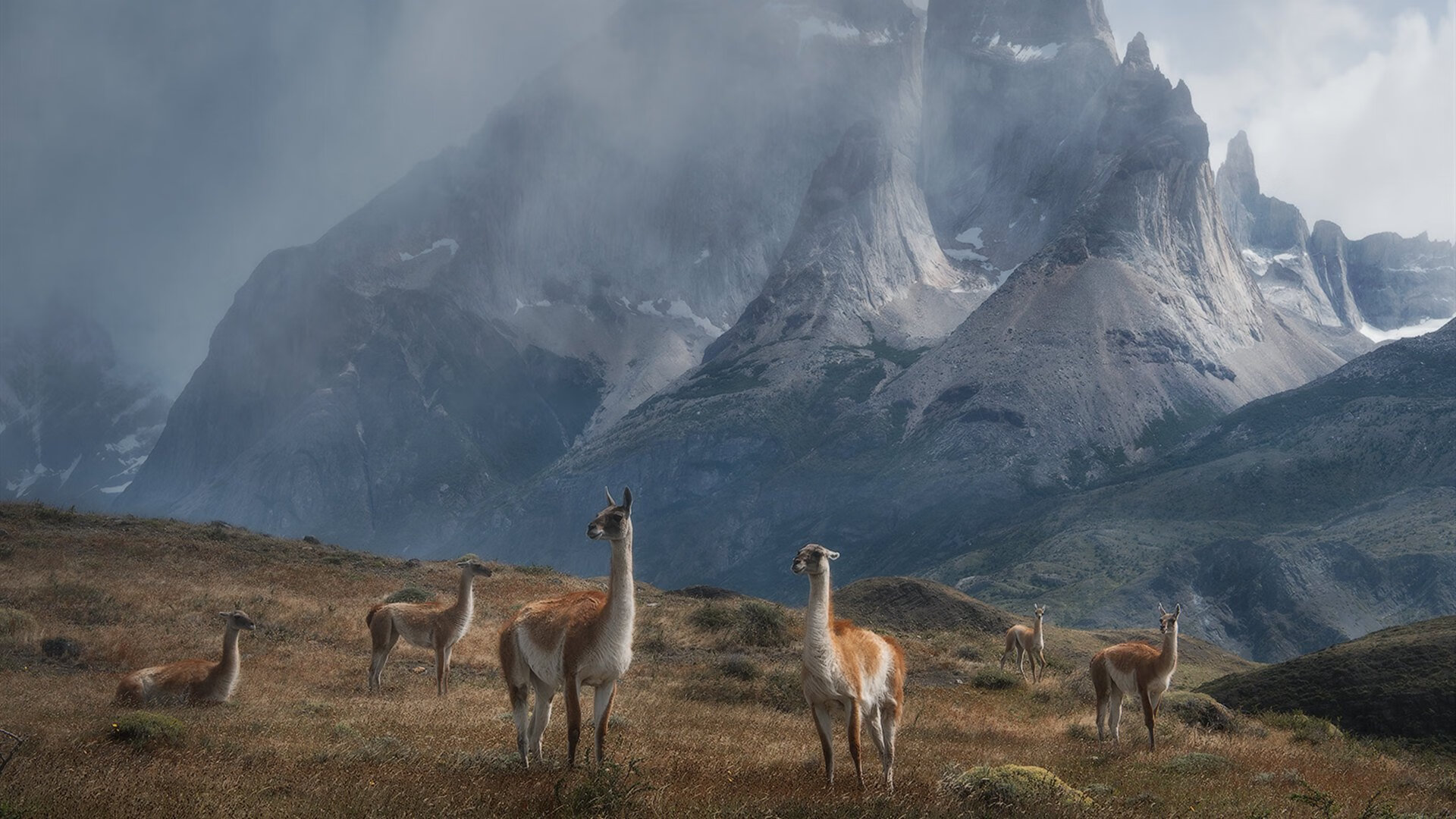 瑜伽比赛,身心合一的视觉盛宴,瑜伽比赛体式标准