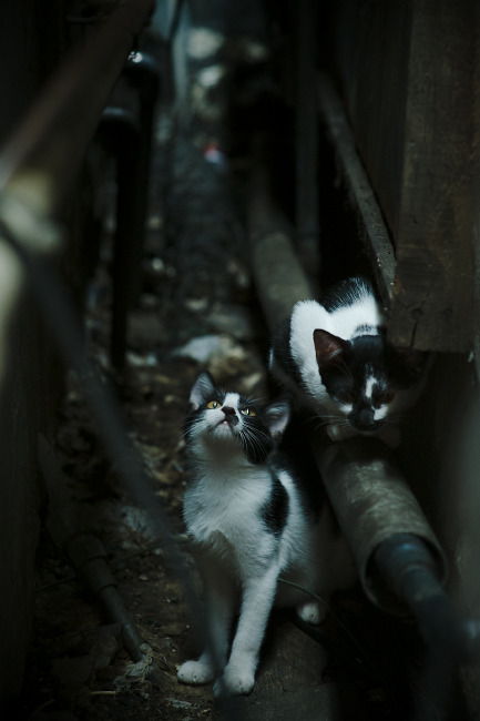 英超:曼城4-2逆转利物浦,争冠悬念再度升温,英超曼城4_1利物浦