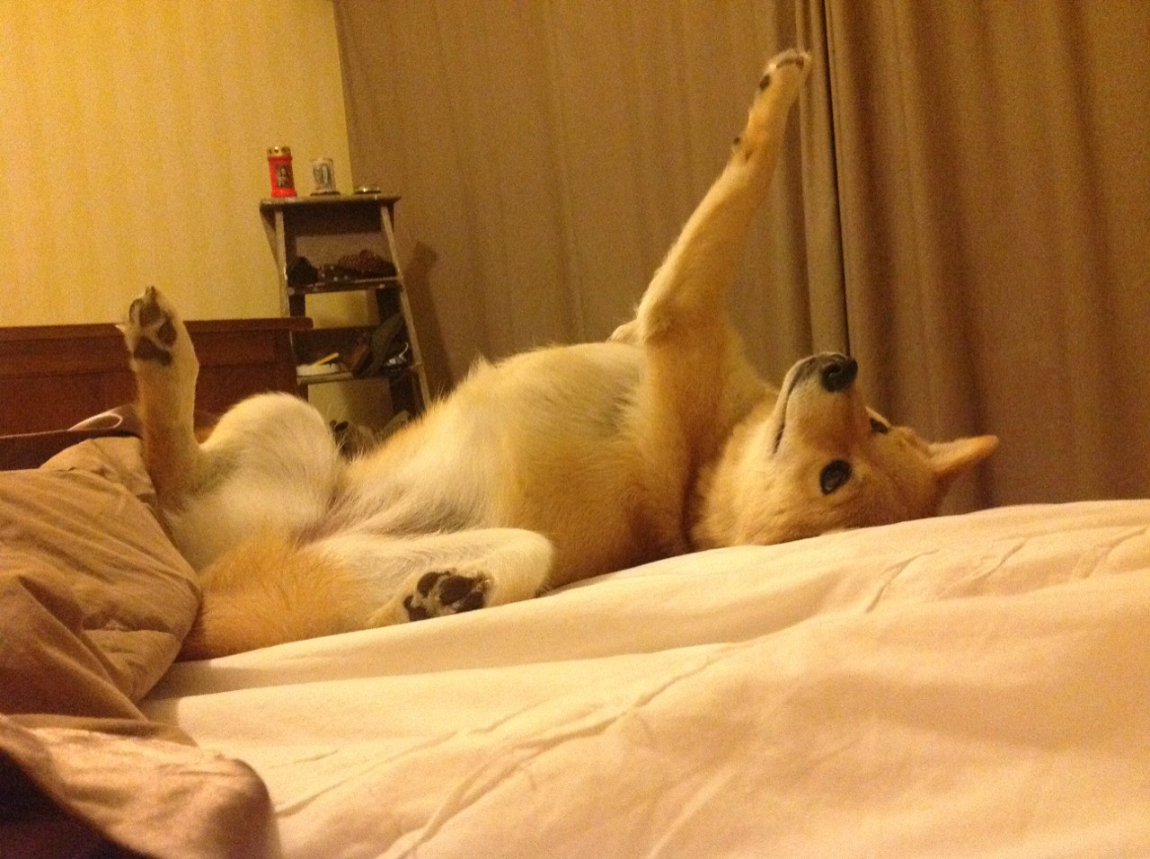 中国队在巴黎奥运会比赛中展现出强大的远射能力，里约奥运会中国打巴西