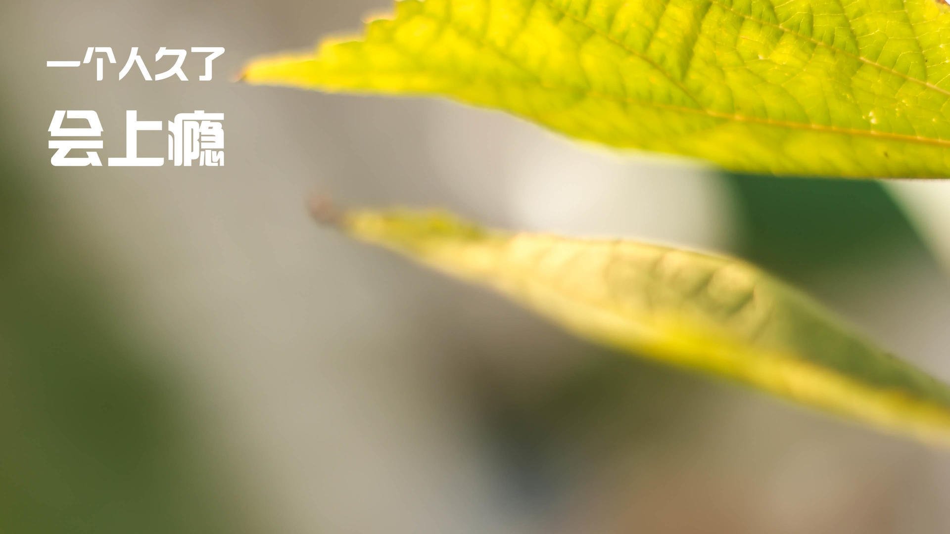 印度射击队在多个项目中获得金牌,表现抢眼。,印度射击队奥运成绩