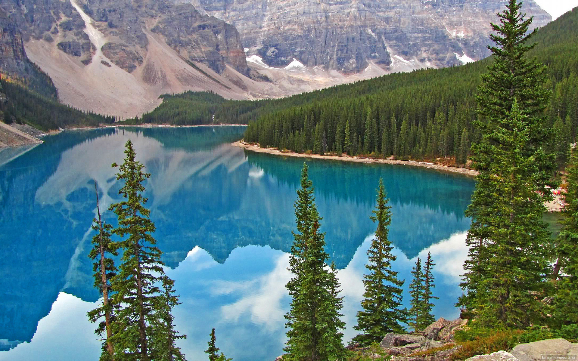 女足比赛项目举办盛大,全球关注焦点,女足比赛现场