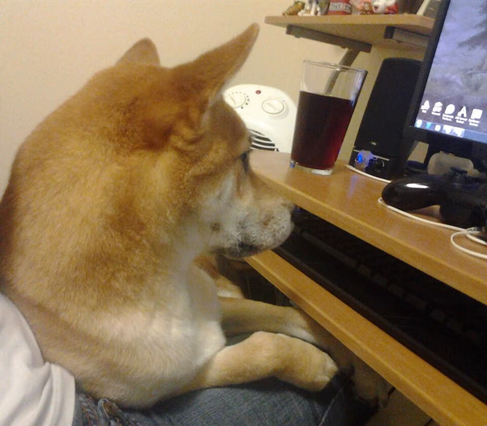 悉尼国王关键时刻发挥冷静，悉尼国王队球员名单