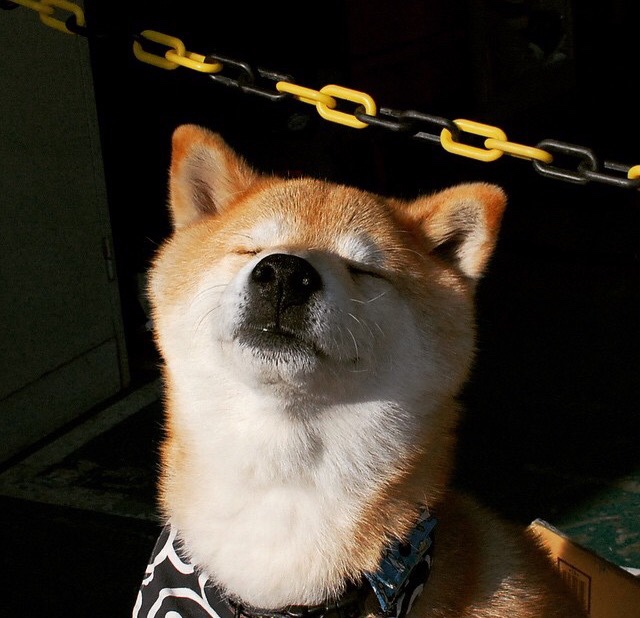 NBA明星球员慈善活动,nba明星球员慈善活动有哪些