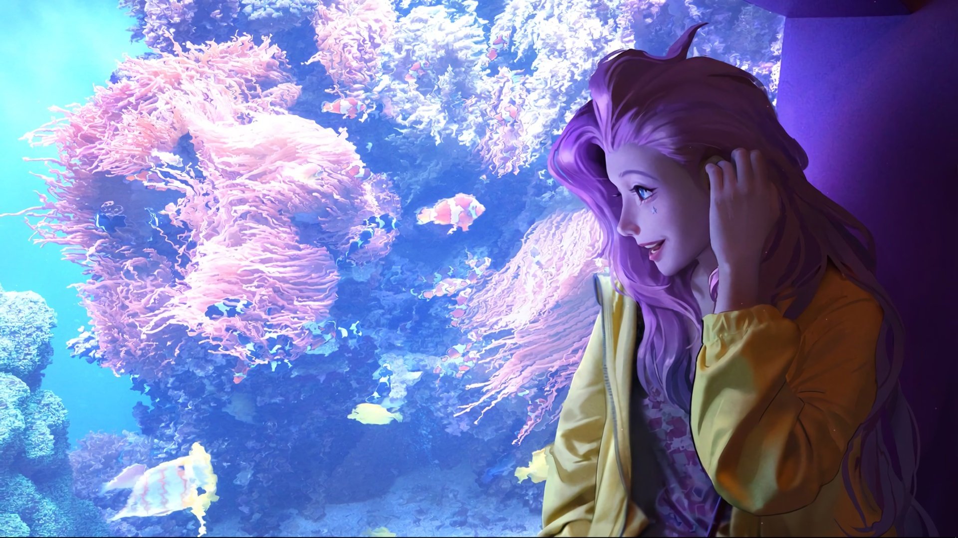 中国篮球联赛品牌建设及粉丝经济研究，国内篮球职业联赛