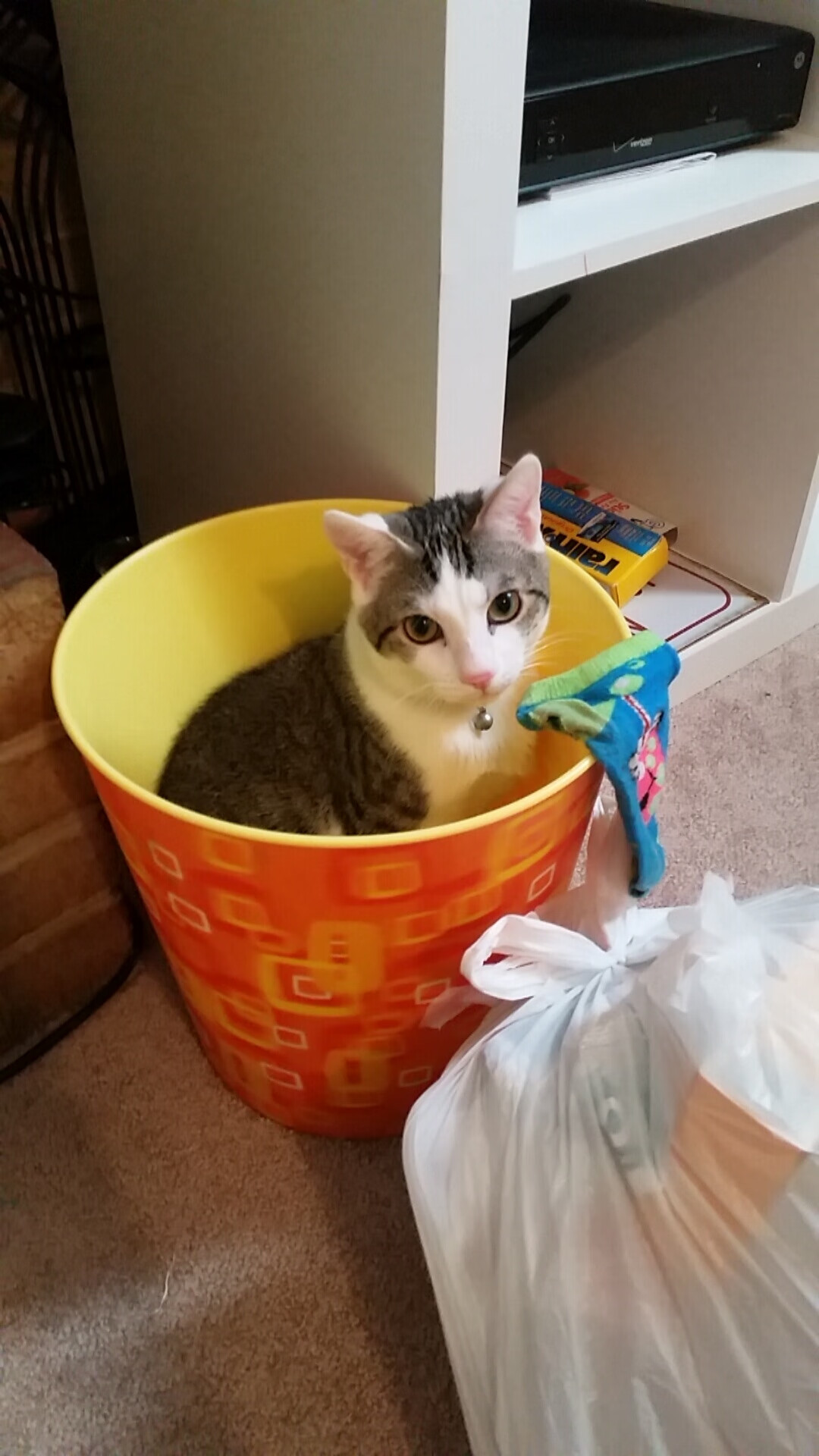 CBA联盟推动裁判专业化发展进程,cba的裁判归谁管