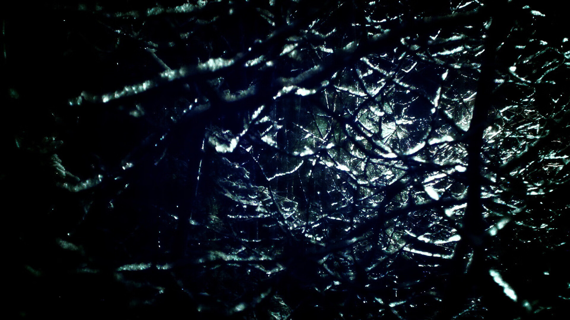 冬奥志愿者故事被拍成纪录片走红网络,冬奥志愿者的故事