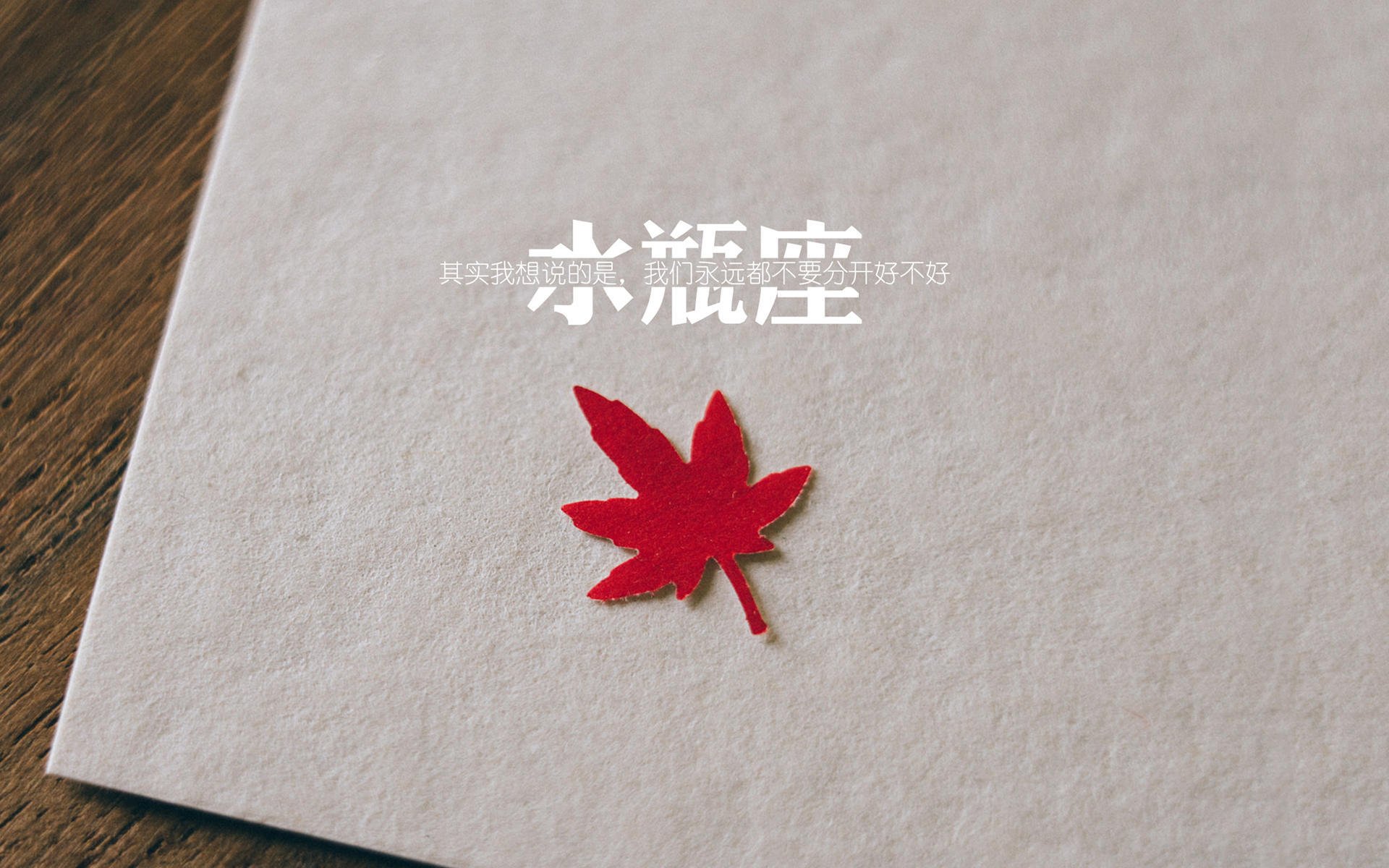 女子冰球国家队奥运分组赛程正式公布,女子冰球国家队队员