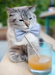 明星运动员公益行动广受好评,明星公益活动有哪些