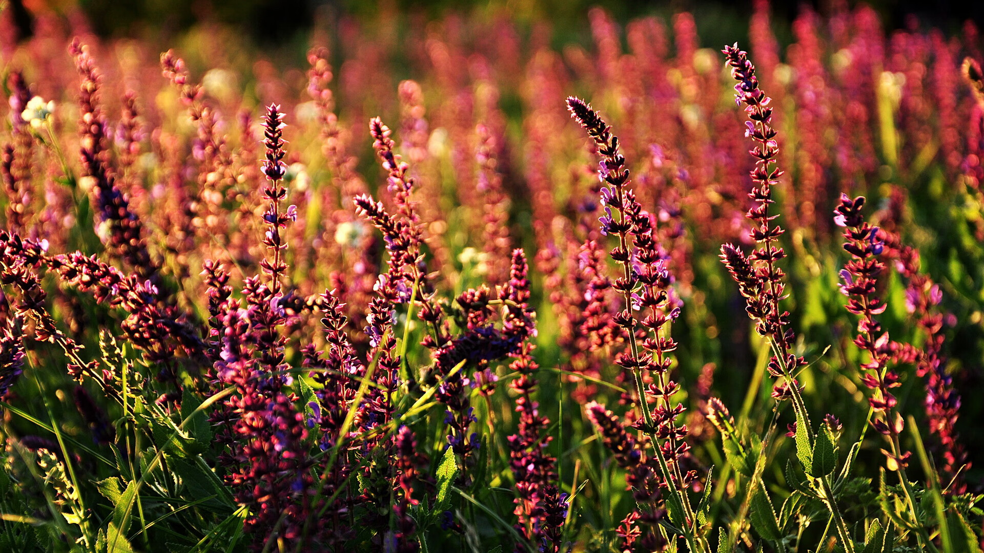 训练计划可穿戴数据同步助力智能反馈,可穿戴训练监控设备