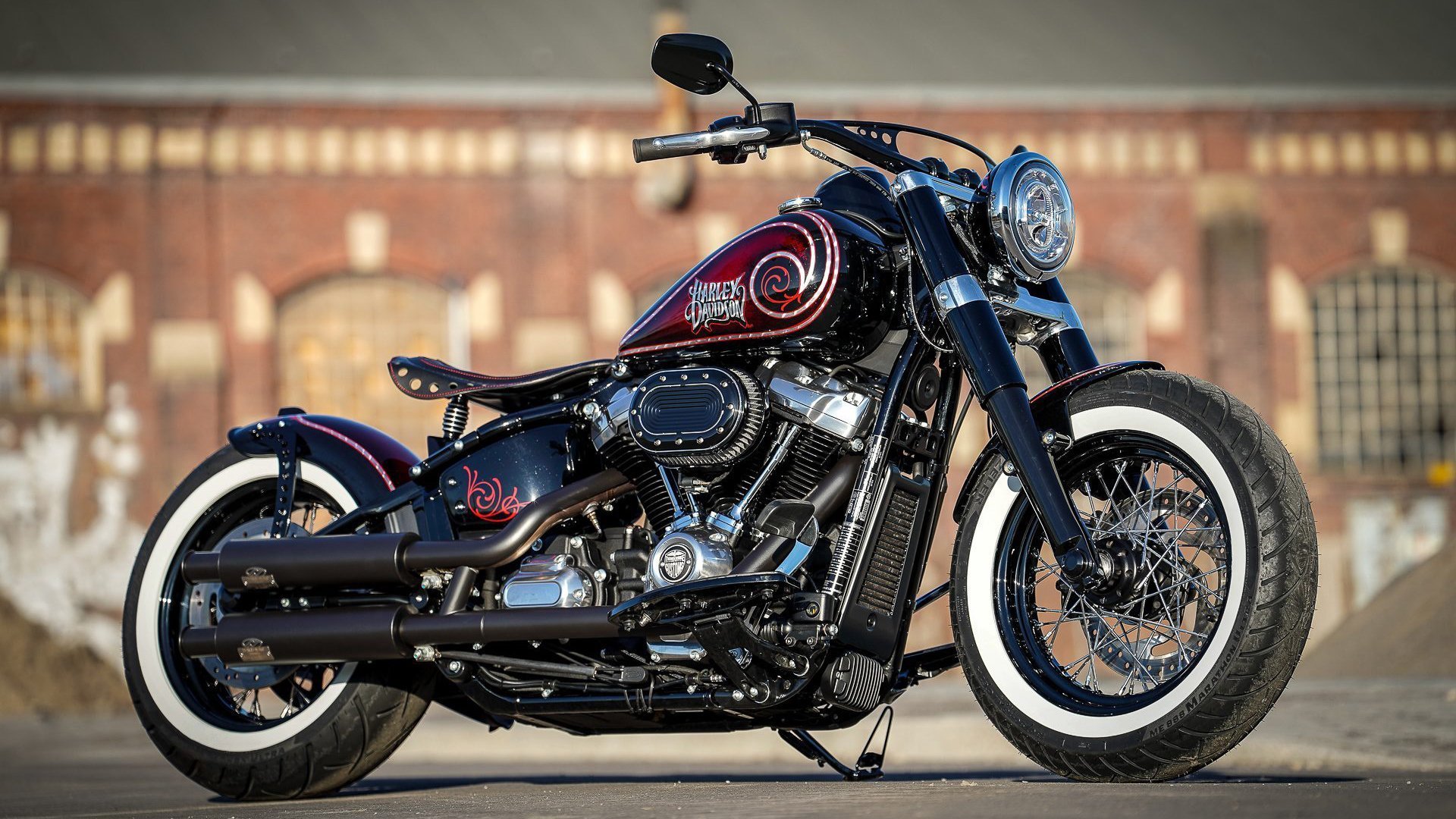 朝鲜蝶泳选手节奏控制精准，朝鲜花样游泳表演