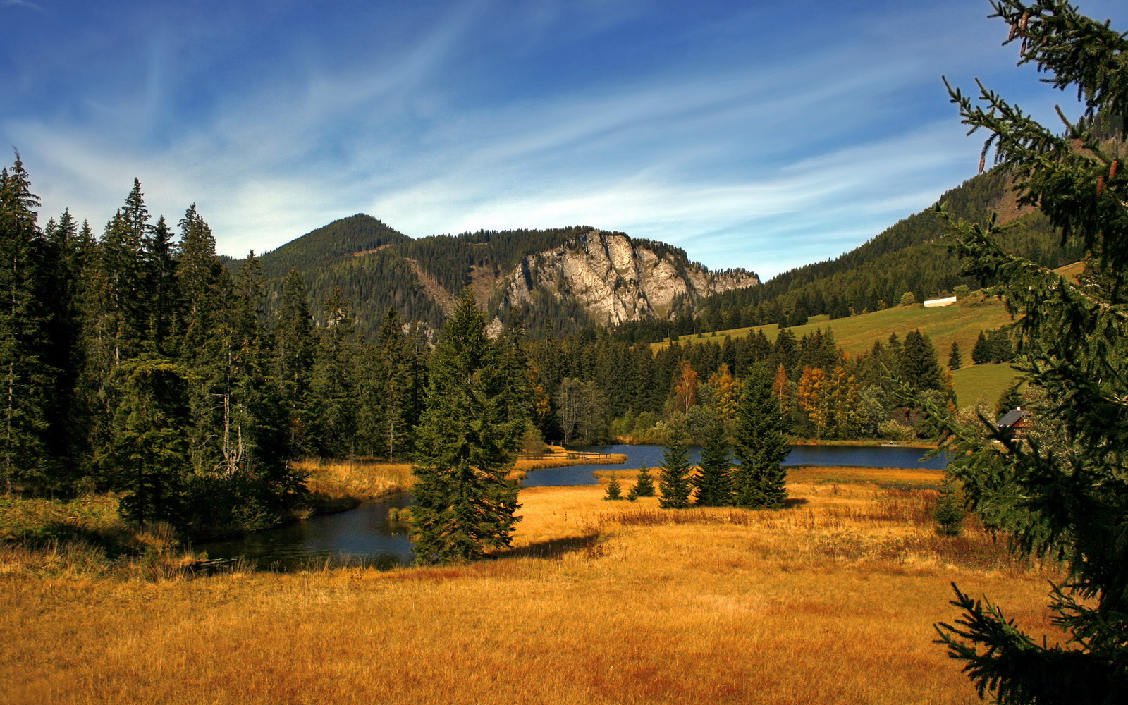 足球俱乐部财务公开制度促进透明化管理,足球俱乐部财政