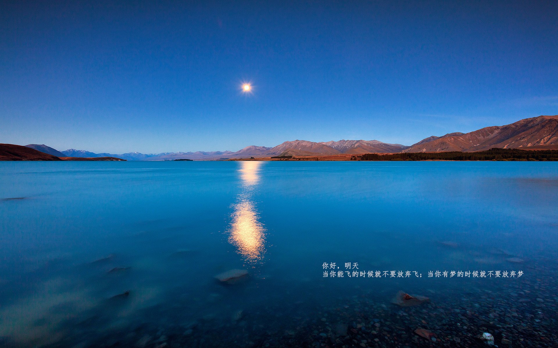 足球运动员参加公益跑活动，助力全民健身宣传，足球运动员宣传照